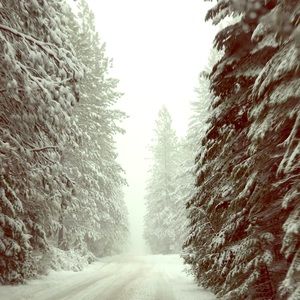 Shop my closet today! Accepting all fair offers!!